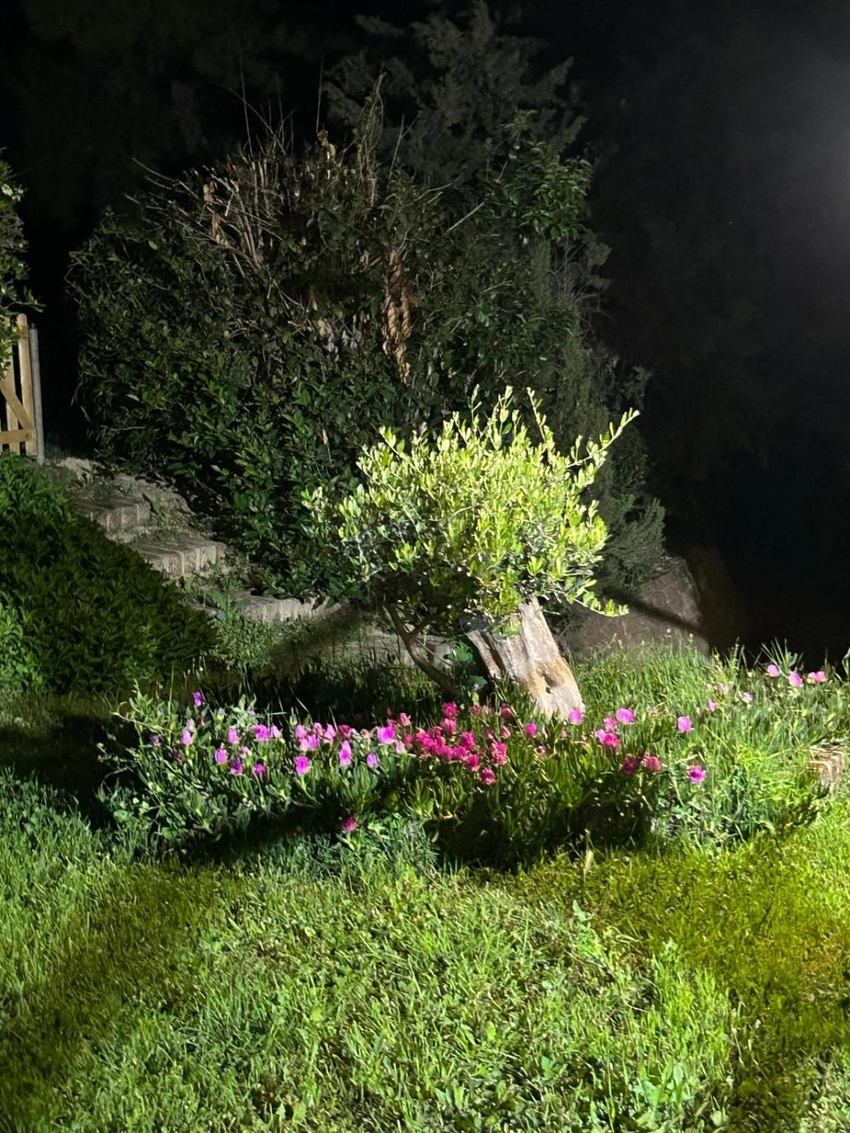 Casalustro Villa Citta Sant'Angelo Dış mekan fotoğraf